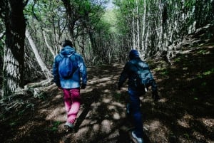 Ushuaia: Parco Nazionale 4x4 e Minitrekking