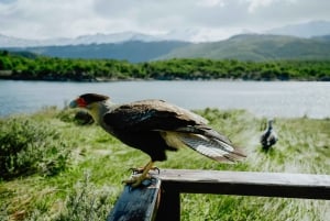 Ushuaia: Parco Nazionale 4x4 e Minitrekking