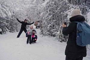 Ushuaia: 4x4 Off Road: Escondido and Fagnano Lakes - Winter