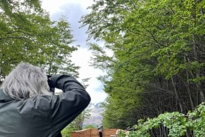 Ushuaia: 4x4-maastoajelu järvillä maailman äärellä