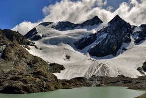 Ushuaia: Trilha Glaciar Vinciguerra 8 Horas