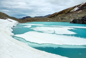 Ushuaia: 8-godzinna wędrówka po lodowcu Vinciguerra