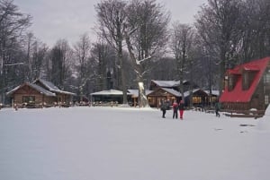 Ushuaia: seikkailua ja lunta | Moottorikelkka + Lumilautailu + Lumikenkäretki + Lounas