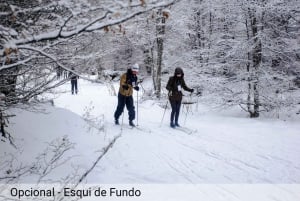 Ushuaia: seikkailua ja lunta | Moottorikelkka + Lumilautailu + Lumikenkäretki + Lounas