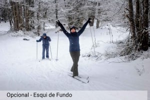 Ushuaia: seikkailua ja lunta | Moottorikelkka + Lumilautailu + Lumikenkäretki + Lounas