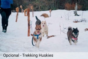 Ushuaia: seikkailua ja lunta | Moottorikelkka + Lumilautailu + Lumikenkäretki + Lounas