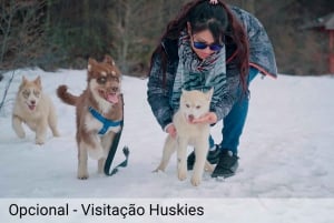 Ushuaia: seikkailua ja lunta | Moottorikelkka + Lumilautailu + Lumikenkäretki + Lounas