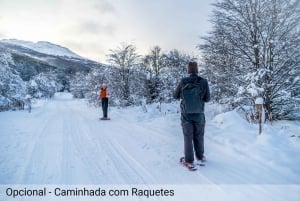 Ushuaia: seikkailua ja lunta | Moottorikelkka + Lumilautailu + Lumikenkäretki + Lounas