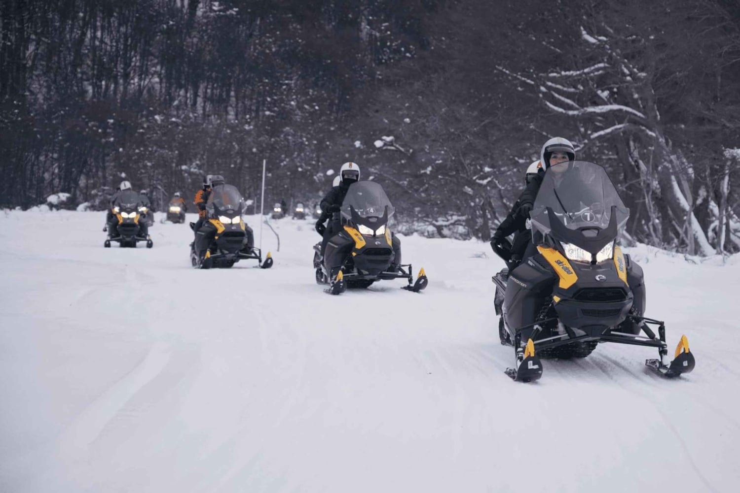 Ushuaia: Adventure and Snow | Snowmobile + Snow Tube + Snowshoes + Lunch