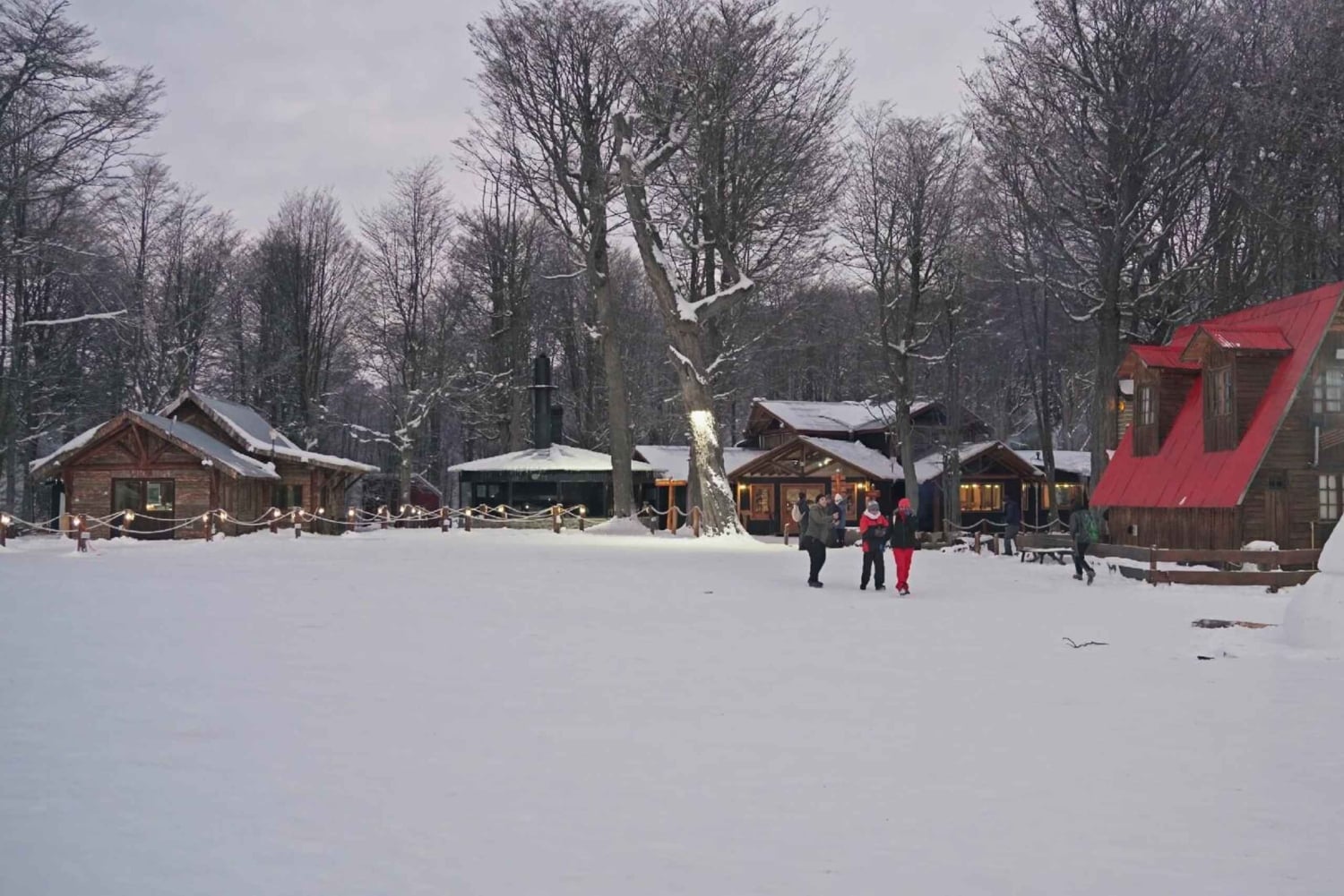 Ushuaia: Adventure and Snow | Snowmobile + Snow Tube + Snowshoes + Lunch