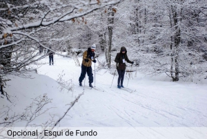Ushuaia: Adventure and Snow | Snowmobile + Snow Tube + Snowshoes + Lunch