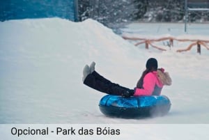 Ushuaia: Adventure and Snow | Snowmobile + Snow Tube + Snowshoes + Lunch