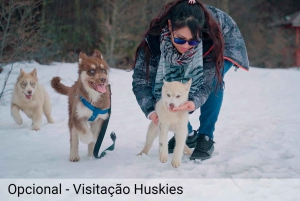 Ushuaia: Adventure and Snow | Snowmobile + Snow Tube + Snowshoes + Lunch