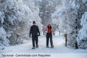 Ushuaia: Adventure and Snow | Snowmobile + Snow Tube + Snowshoes + Lunch