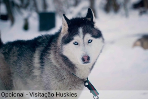 Ushuaia: Adventure and Snow | Snowmobile + Snow Tube + Snowshoes + Lunch