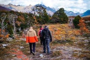 Ushuaia Adventure: Llanos 360 ATV Ride & Hike with Lunch