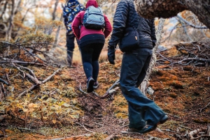 Ushuaia Adventure: Llanos 360 ATV Ride & Hike with Lunch