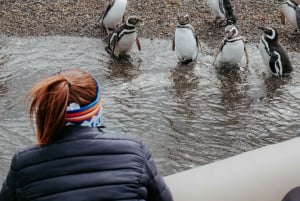 USHUAIA: ALMANZA, THE SPIDER CRAB ROUTE & PENGUIN SIGHTING