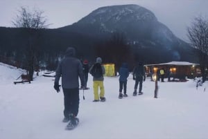 Ушуайя: Антарктическое приключение на снегоходах