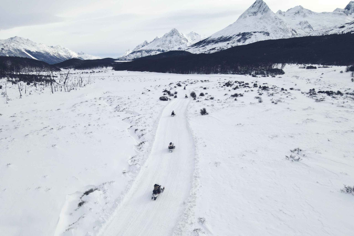 Ushuaia: esperienza antartica con giro in motoslitta e trasferimento