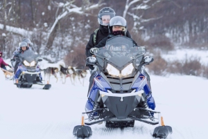 Ushuaia: esperienza antartica con giro in motoslitta e trasferimento