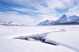 Ushuaia: esperienza antartica con giro in motoslitta e trasferimento