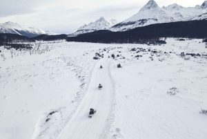 Ushuaia: esperienza antartica con giro in motoslitta e trasferimento