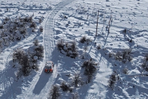 Ushuaia: esperienza antartica con giro in motoslitta e trasferimento