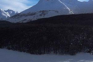 Ushuaia: esperienza antartica con giro in motoslitta e trasferimento