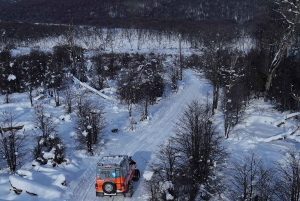 Ushuaia: esperienza antartica con giro in motoslitta e trasferimento