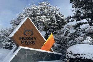 Ushuaia: esperienza antartica con giro in motoslitta e trasferimento