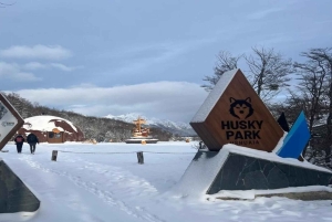 Ushuaia: esperienza antartica con giro in motoslitta e trasferimento