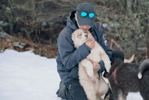 Ushuaia: ATV + Buoys + Huskies + Skiing + Lunch + Antarctic Experience