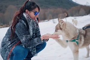 Ushuaia: ATV + Buoys + Huskies + Skiing + Lunch + Antarctic Experience