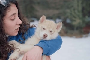 Ushuaia: ATV + Buoys + Huskies + Skiing + Lunch + Antarctic Experience