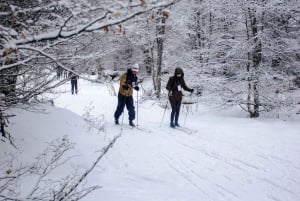 Ushuaia: ATV + Buoys + Huskies + Skiing + Lunch + Antarctic Experience