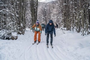 Ushuaia: ATV + Buoys + Huskies + Skiing + Lunch + Antarctic Experience