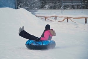 Ushuaia: ATV + Buoys + Huskies + Skiing + Lunch + Antarctic Experience