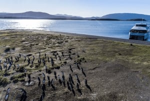 Ushuaia: Canale di Beagle e Isola dei Pinguini