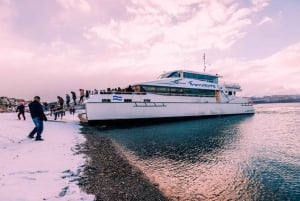 Ushuaia: crociera nel Canale di Beagle e passeggiata alle Isole Bridges