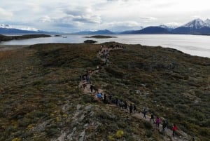Ushuaia: crociera nel Canale di Beagle e passeggiata alle Isole Bridges