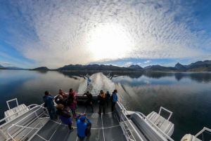 Ushuaia: crociera nel Canale di Beagle e passeggiata alle Isole Bridges