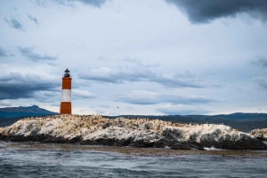 Ushuaia: crociera nel Canale di Beagle e passeggiata alle Isole Bridges