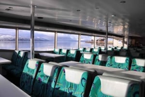 Ushuaia: crociera nel Canale di Beagle e passeggiata alle Isole Bridges