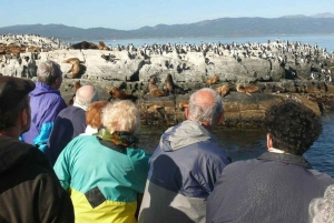 Ushuaia: Excursão à Colónia de Pinguins do Canal de Beagle