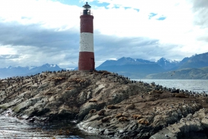 Ushuaia: Beagle Channel & Sea Wolves Island Catamaran Cruise