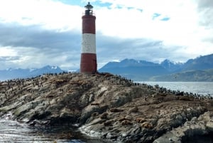 Ushuaïa : canal de Beagle, île des loups de mers & catamaran
