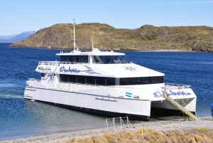 Ushuaia: met catamaran naar Beaglekanaal & Isla de Los Lobos