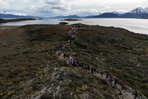 Ushuaia: Excursão ao Canal de Beagle, Ilha Seal e Ilhas Bridges