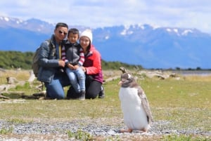 Ushuaia: Beagle Walk wśród pingwinów Nawigacja Isla de Lobos